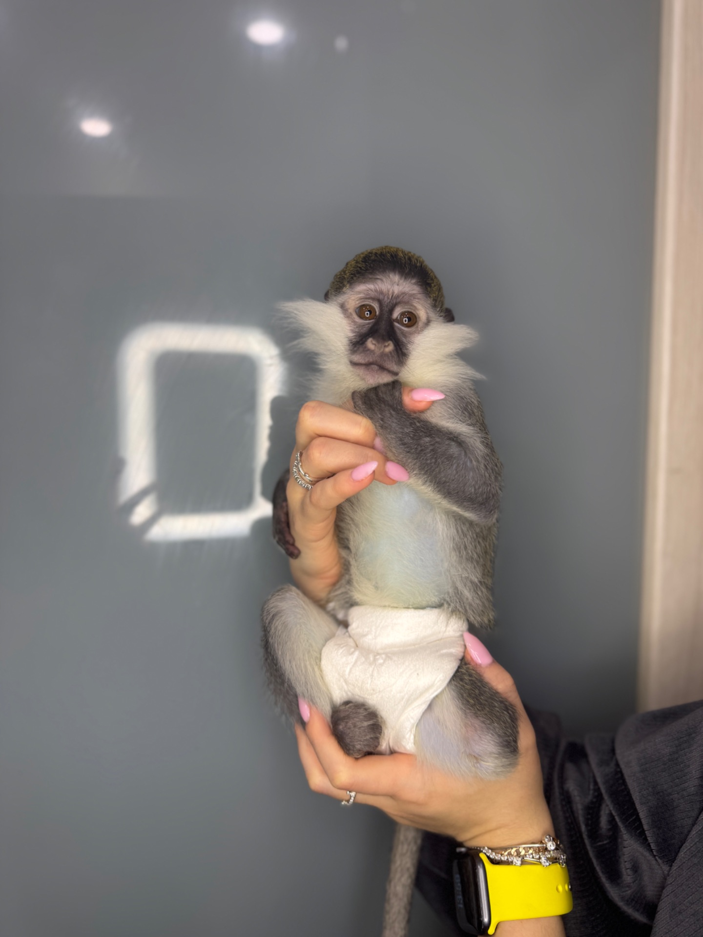 Ручна верветка