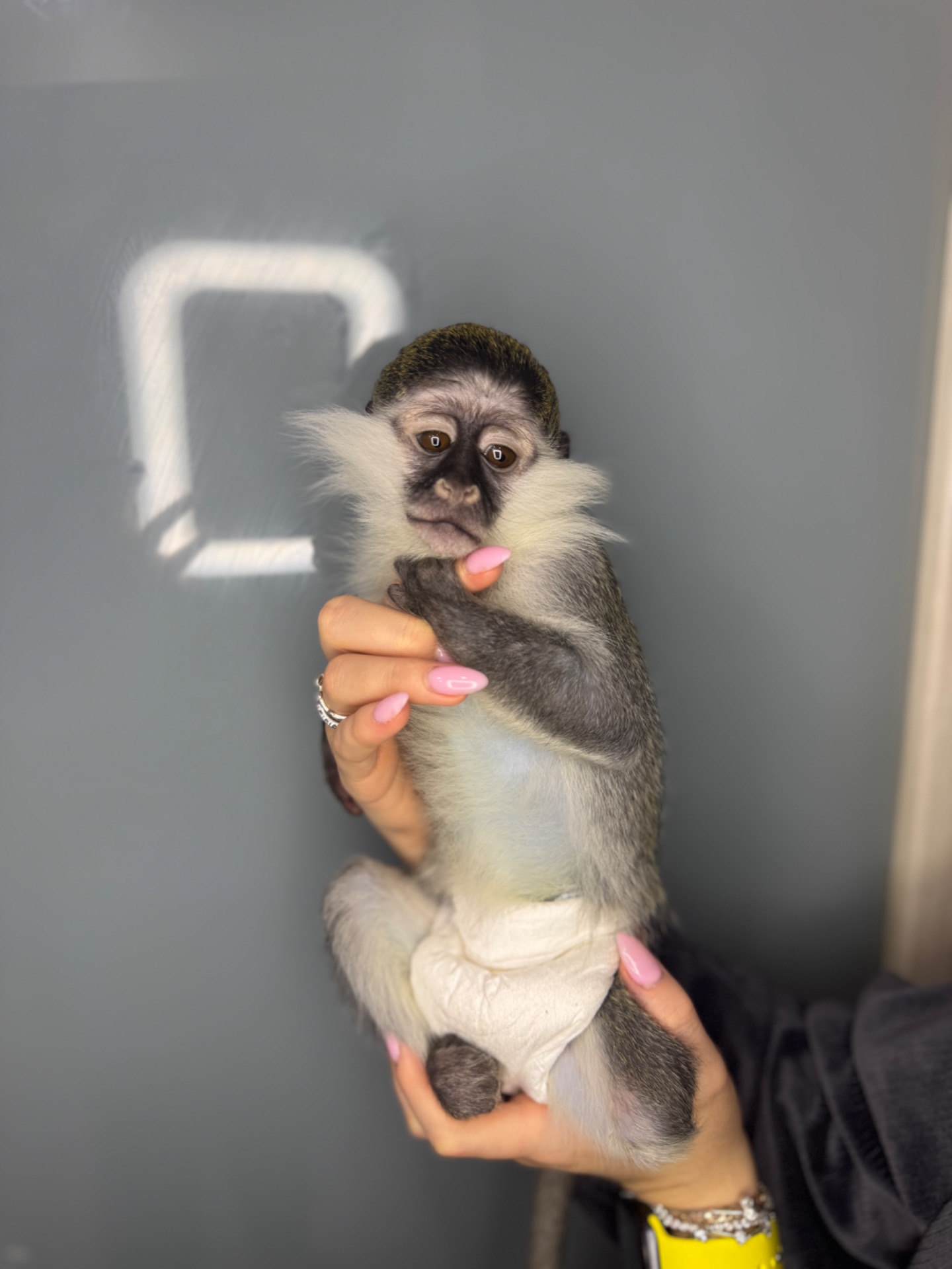 Ручна верветка