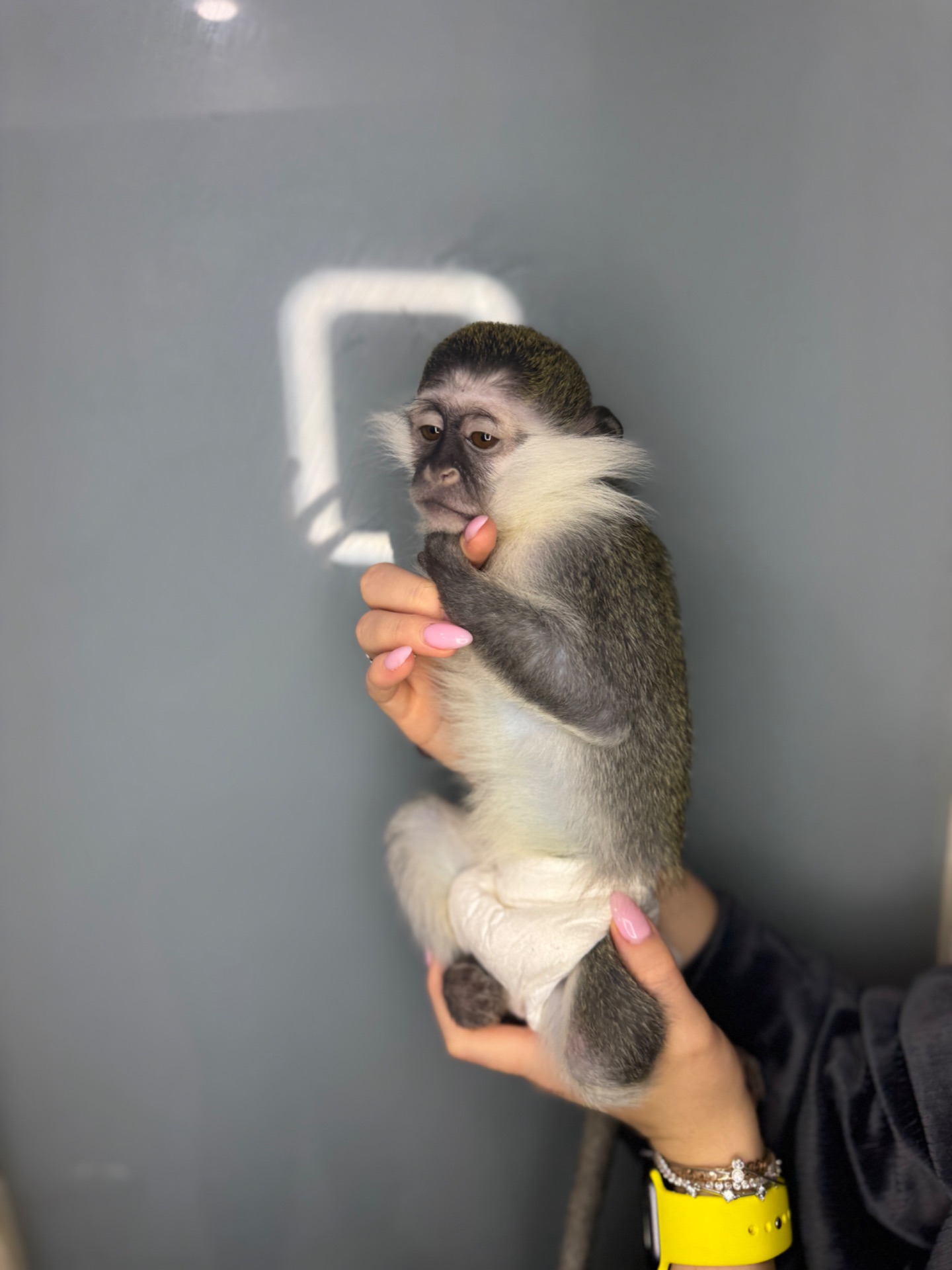 Ручна верветка