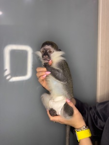 Ручна верветка