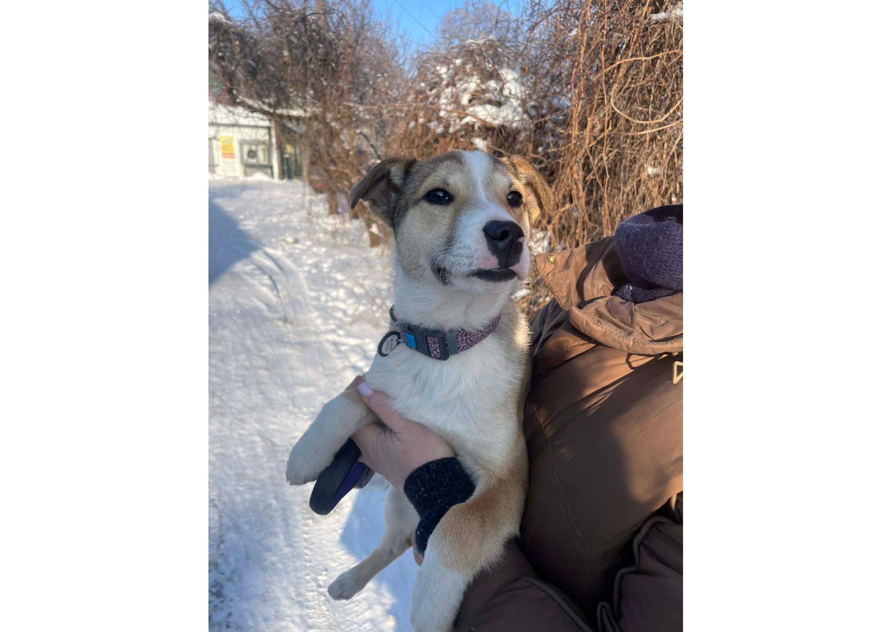 Терміново! Цей пост – останній шанс знайти родину❗