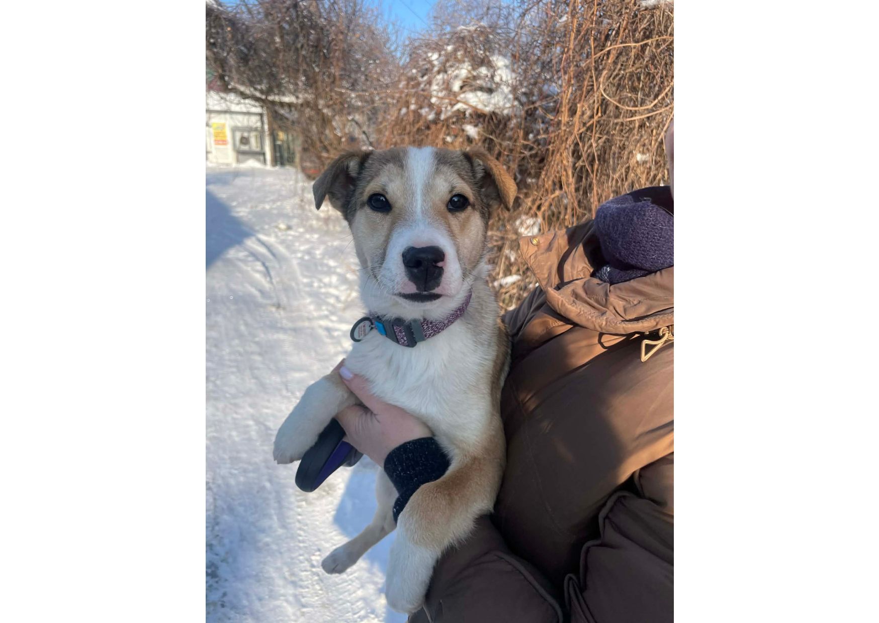 Терміново! Цей пост – останній шанс знайти родину❗