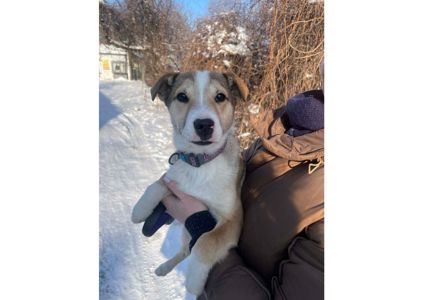 Терміново! Цей пост – останній шанс знайти родину❗