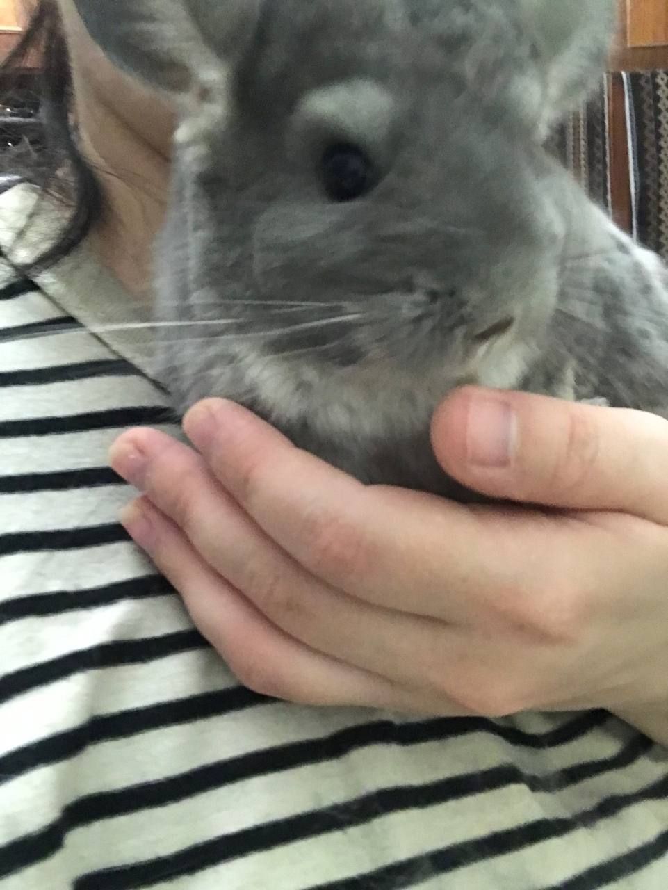 Хлопчик фіолет