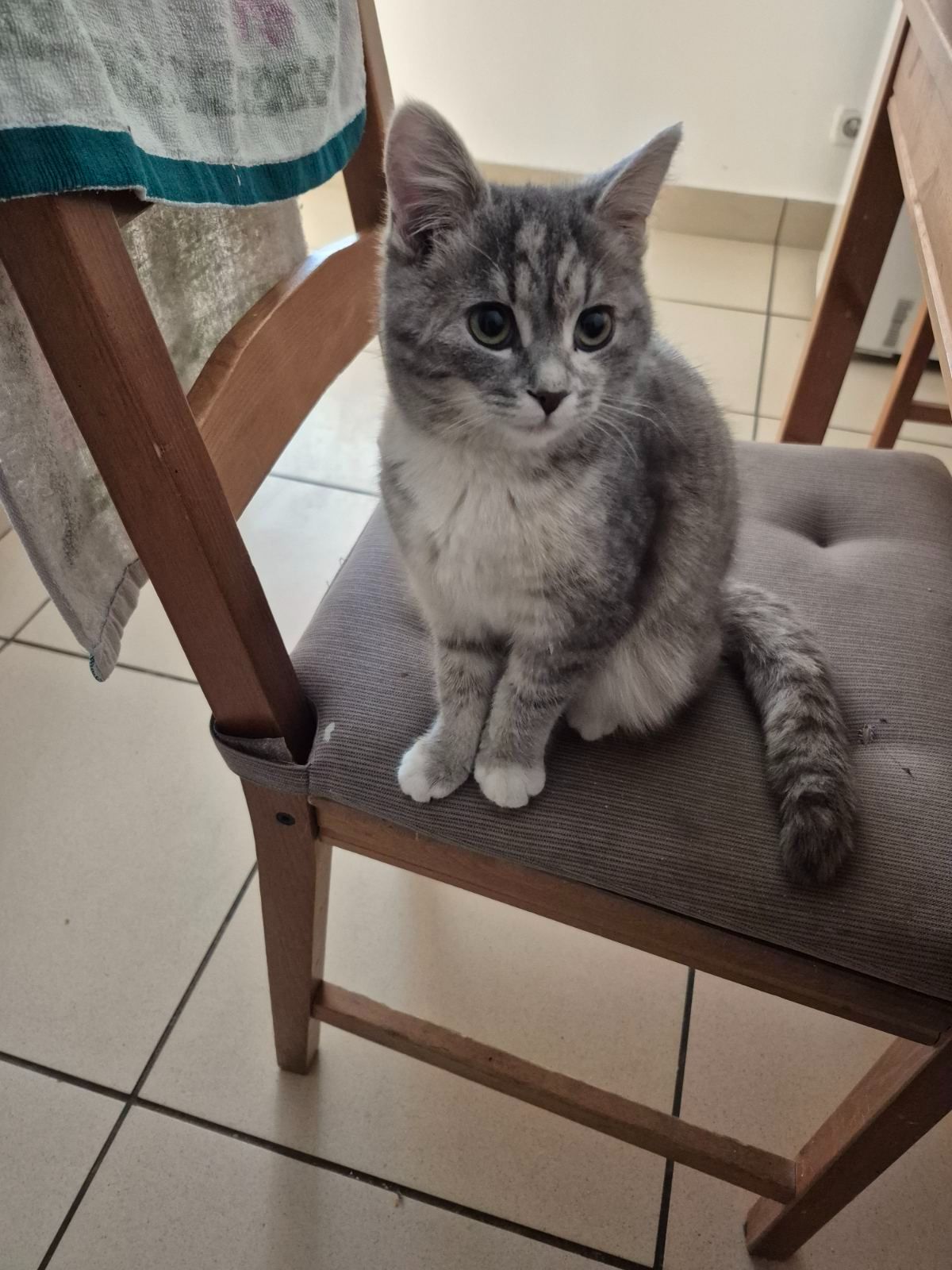 Лада, 3,5 місяці