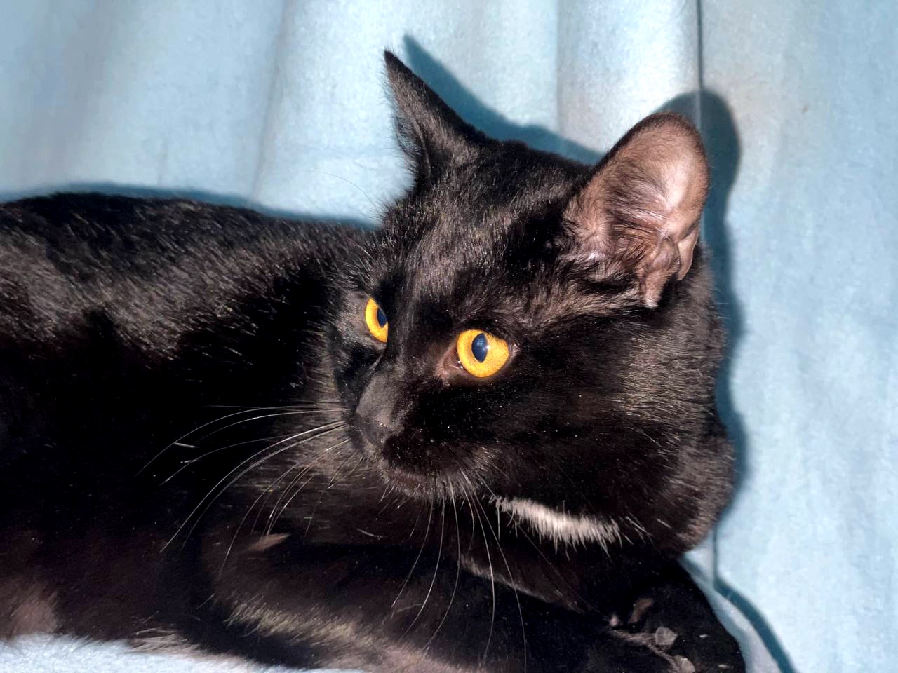 Саймон чекає на родину