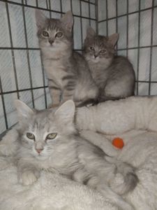 Тім, 3 місяці