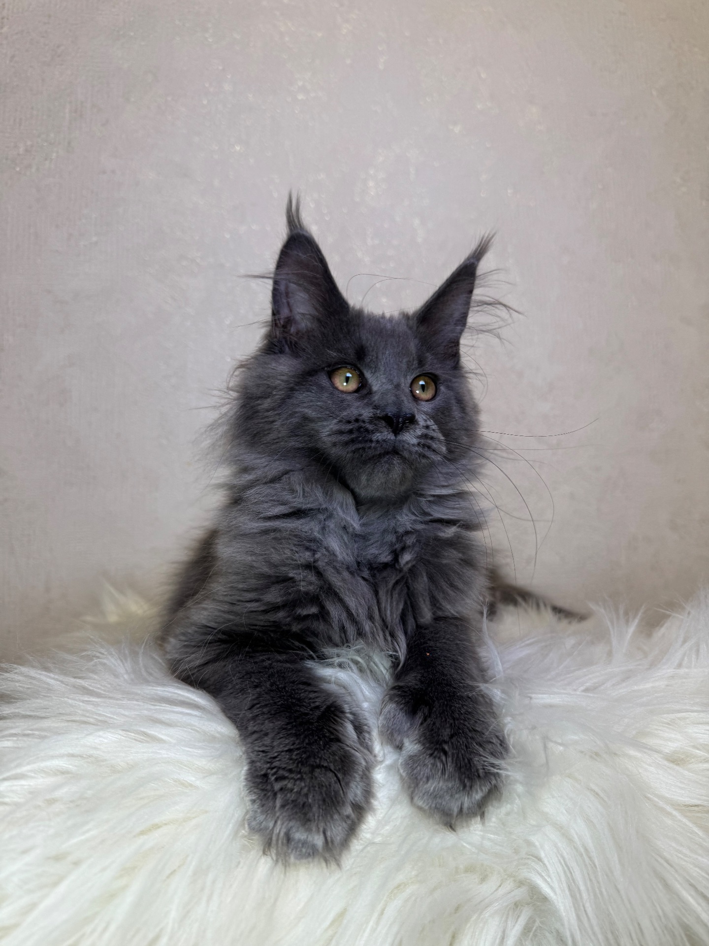 Пенелопа Мейн кун дівчинка полідакт