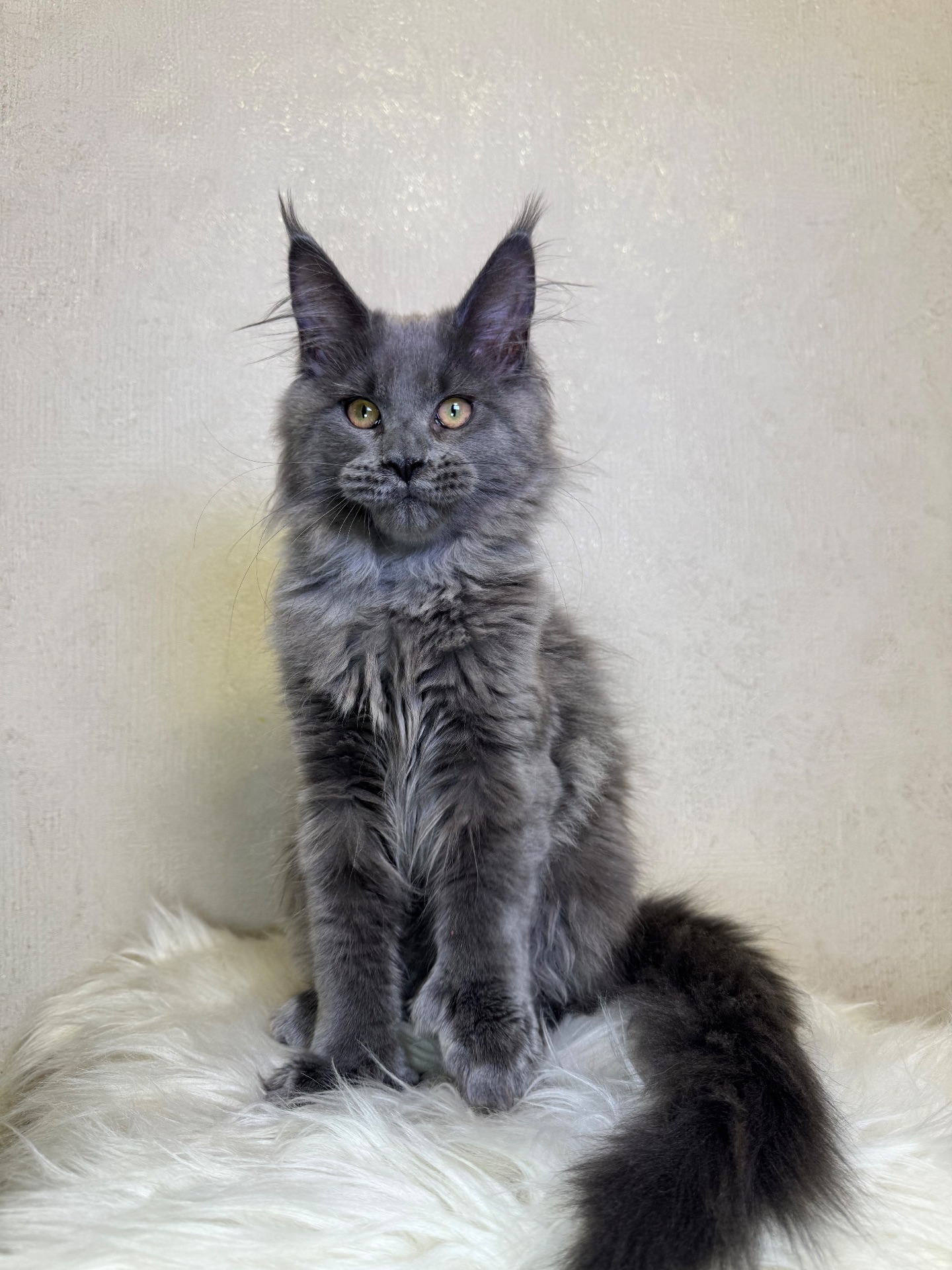 Пенелопа Мейн кун дівчинка полідакт