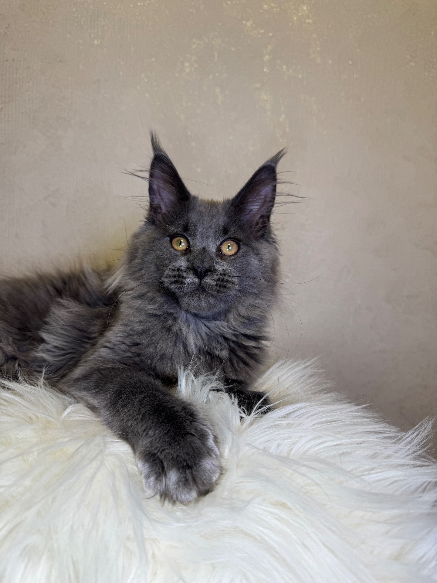 Пенелопа Мейн кун дівчинка полідакт