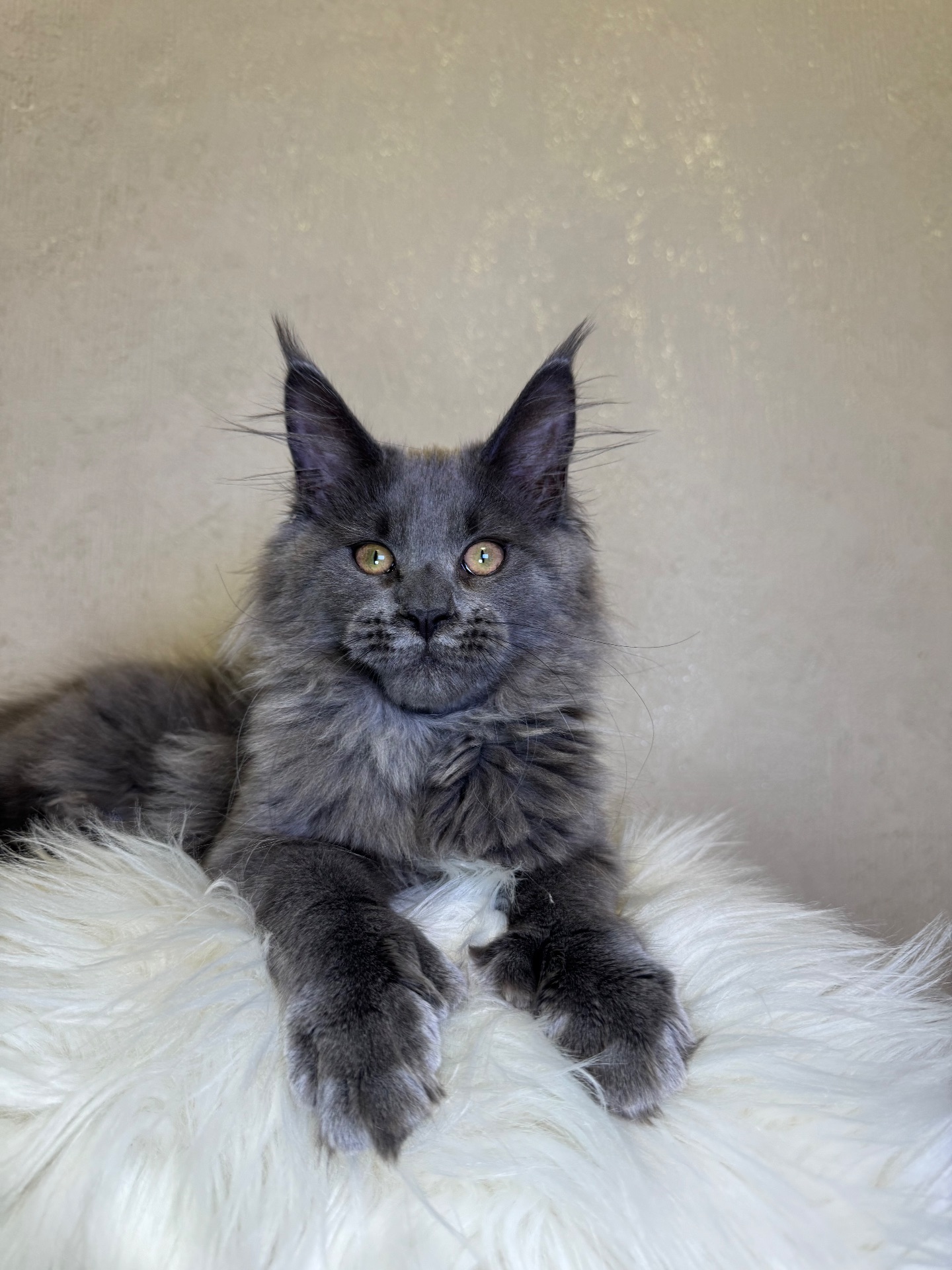 Пенелопа Мейн кун дівчинка полідакт