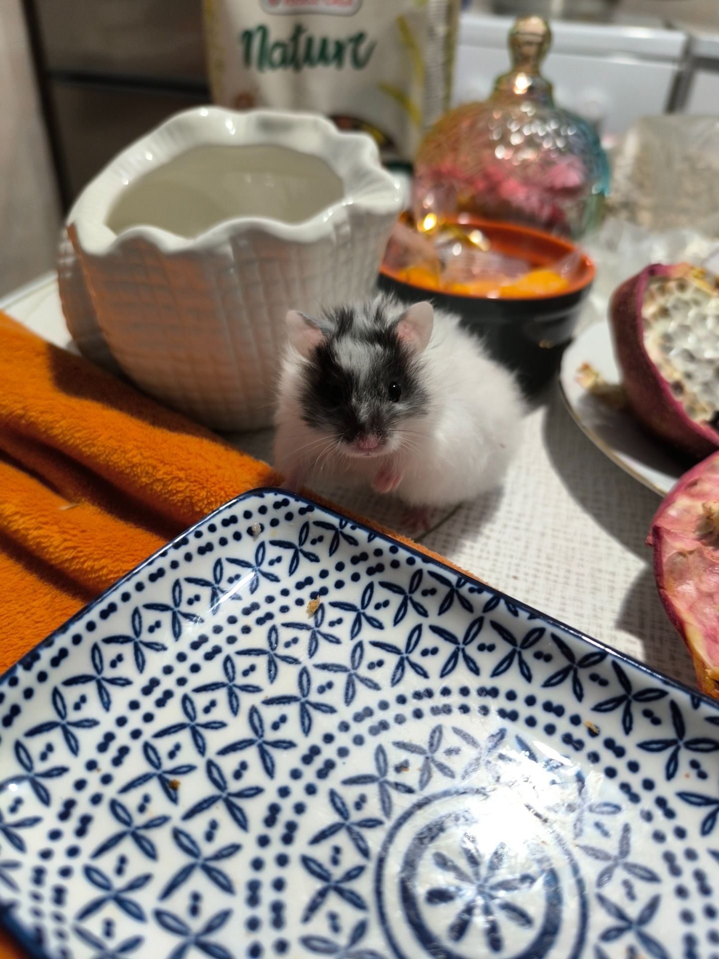 Королівський