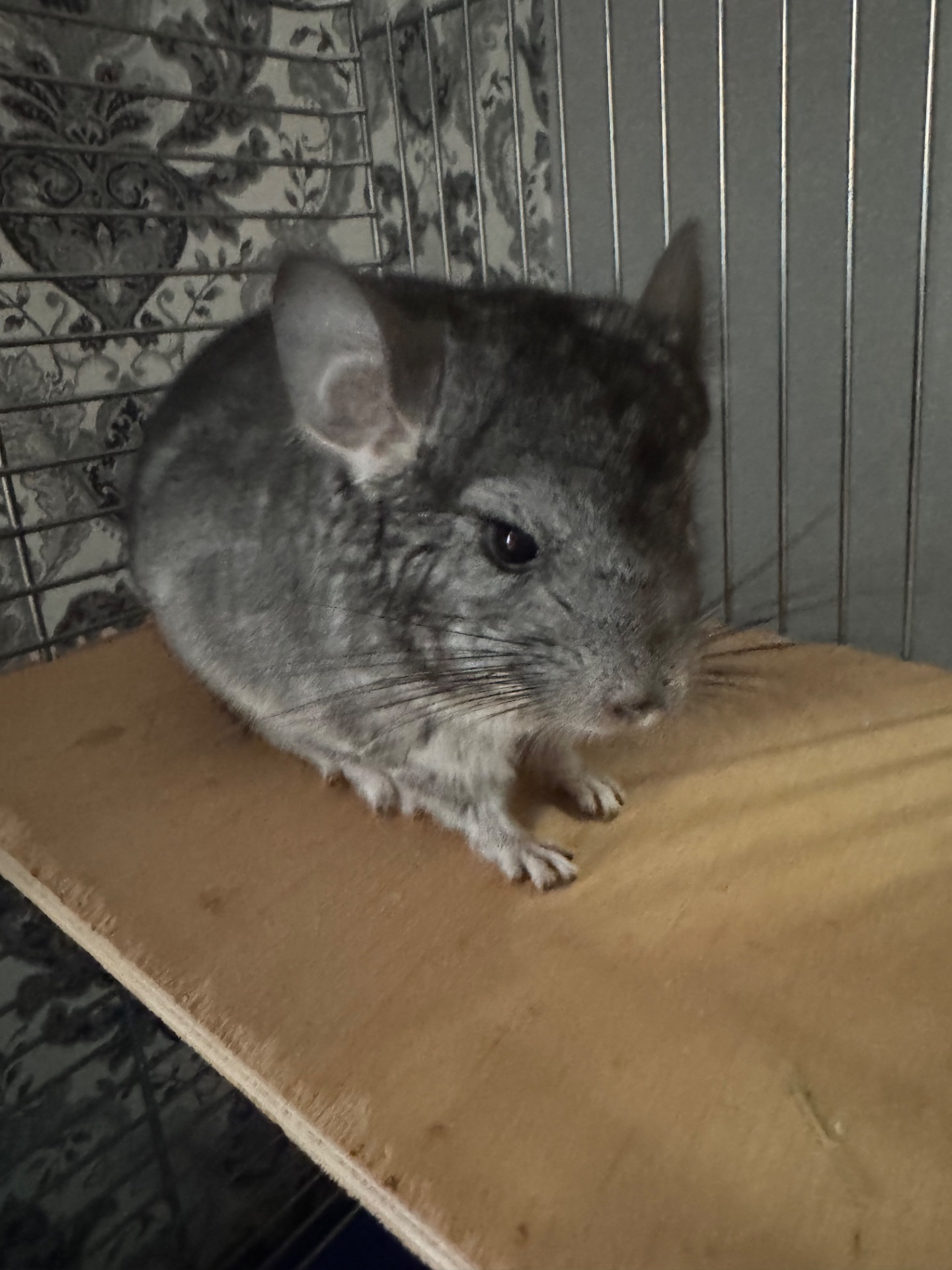 Хлопчик та дівчина