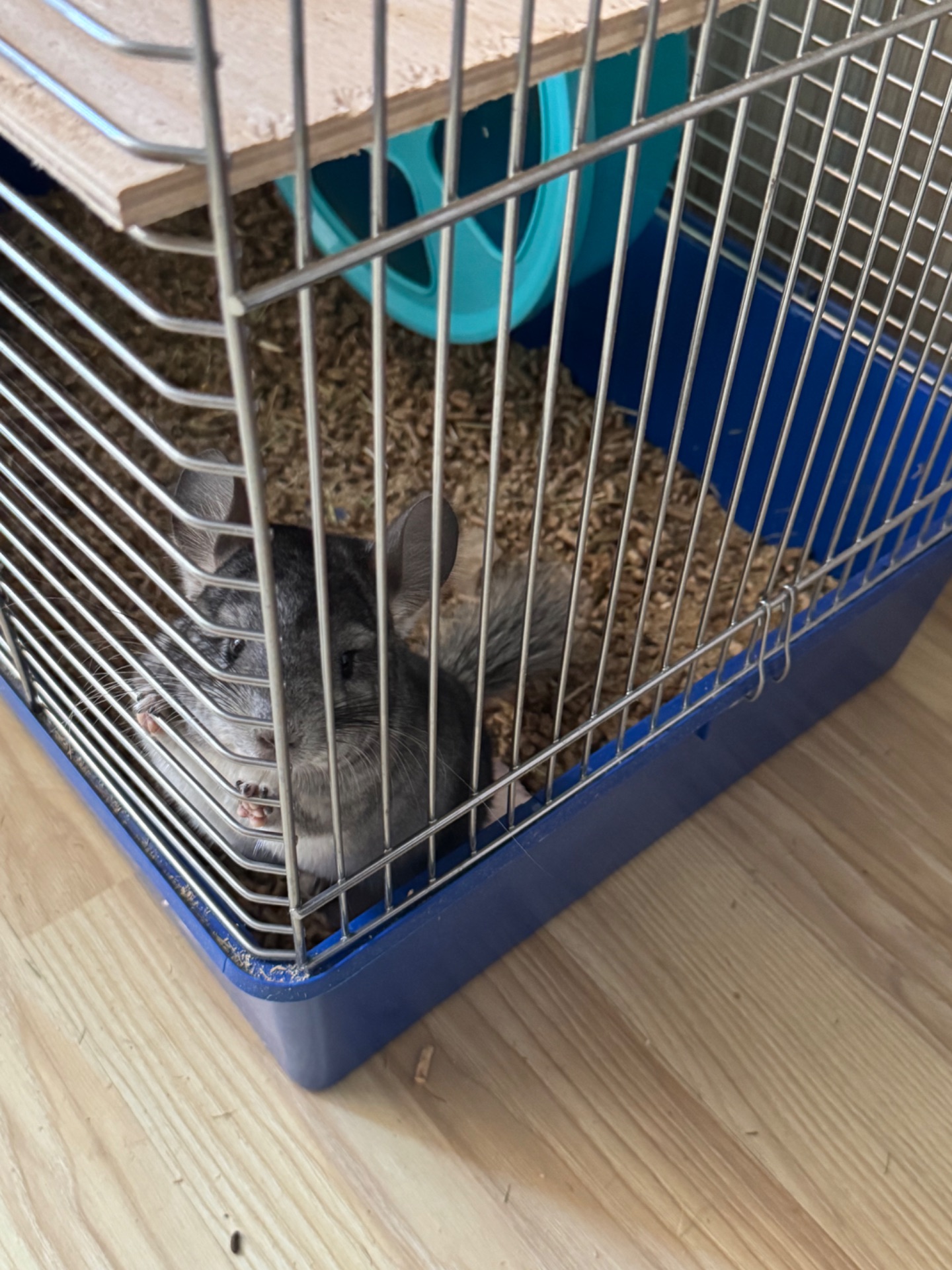 Хлопчик та дівчина