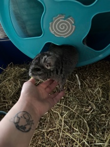 Хлопчик та дівчина