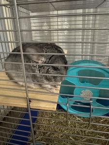 Хлопчик та дівчина