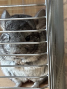 Хлопчик та дівчина