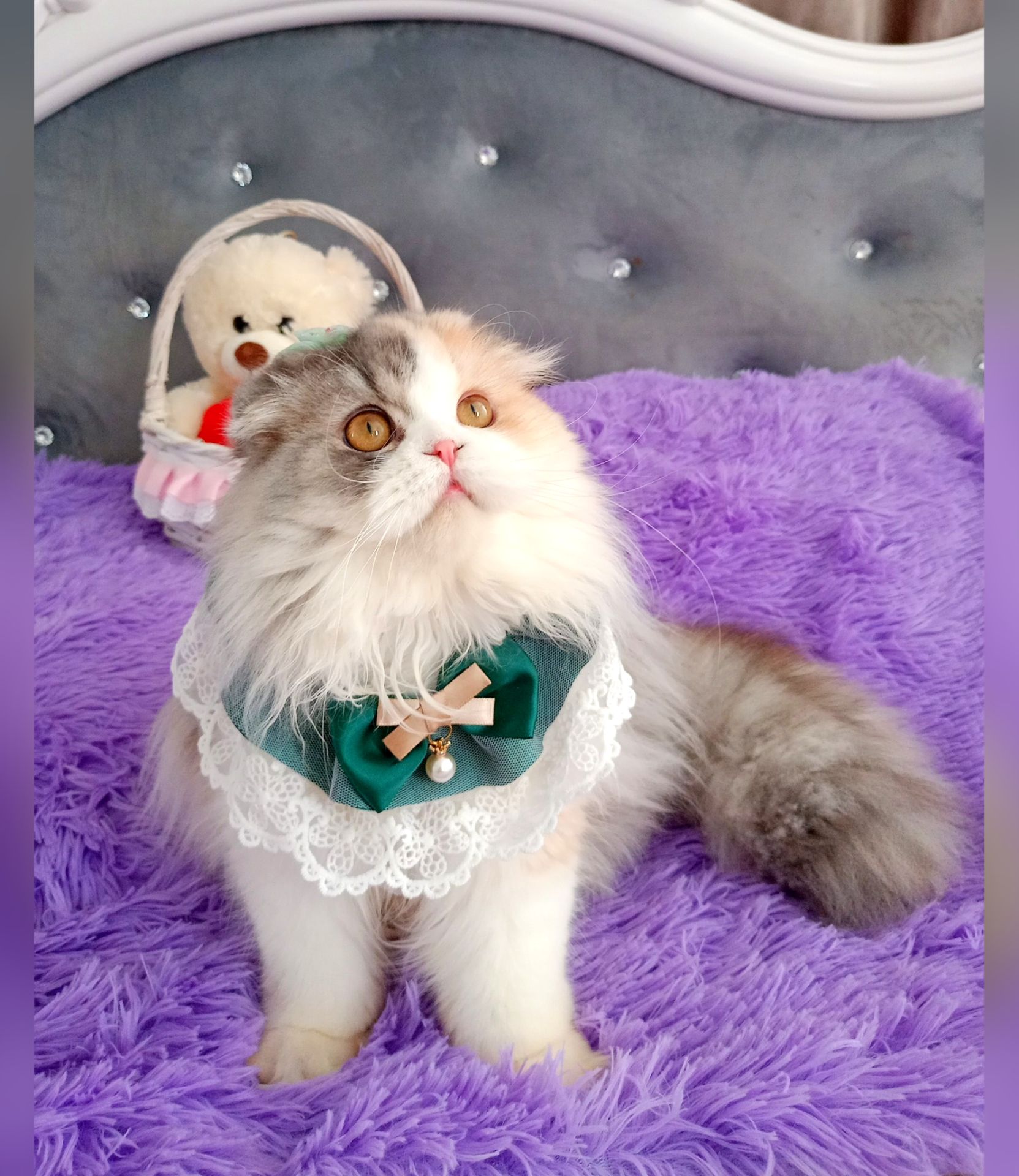 Неймовірна красуня