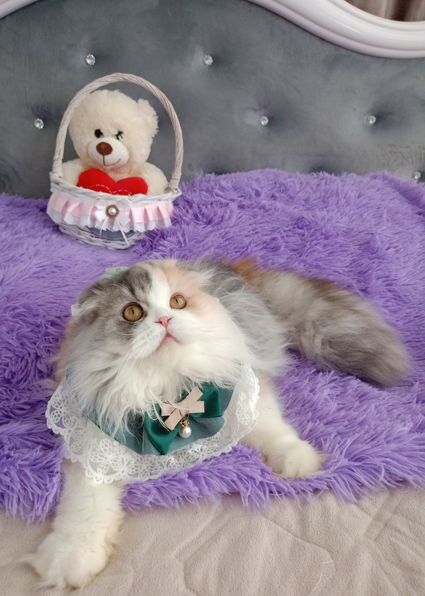 Неймовірна красуня