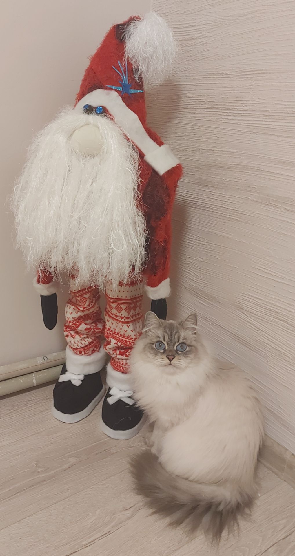 Котик и кошечка Невская