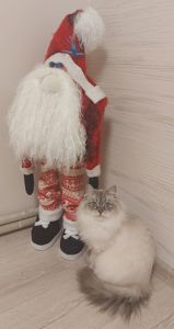 Котик и кошечка Невская