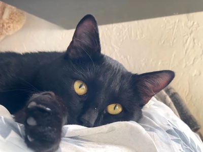 Саймон чекає на родину