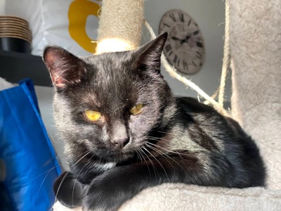 Саймон чекає на родину