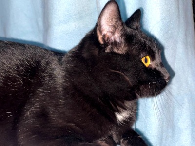 Саймон чекає на родину