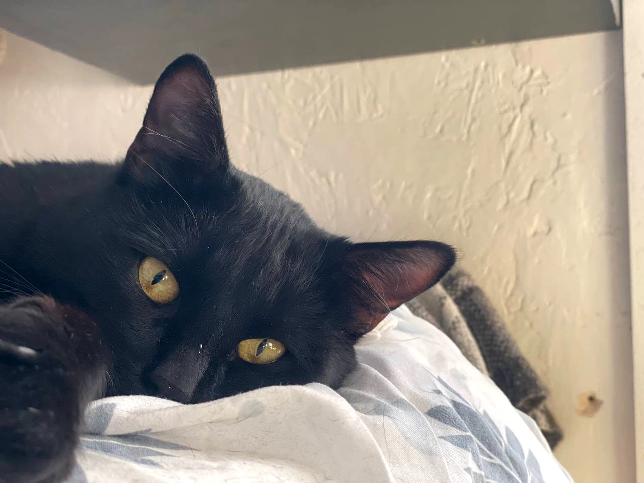 Саймон чекає на родину