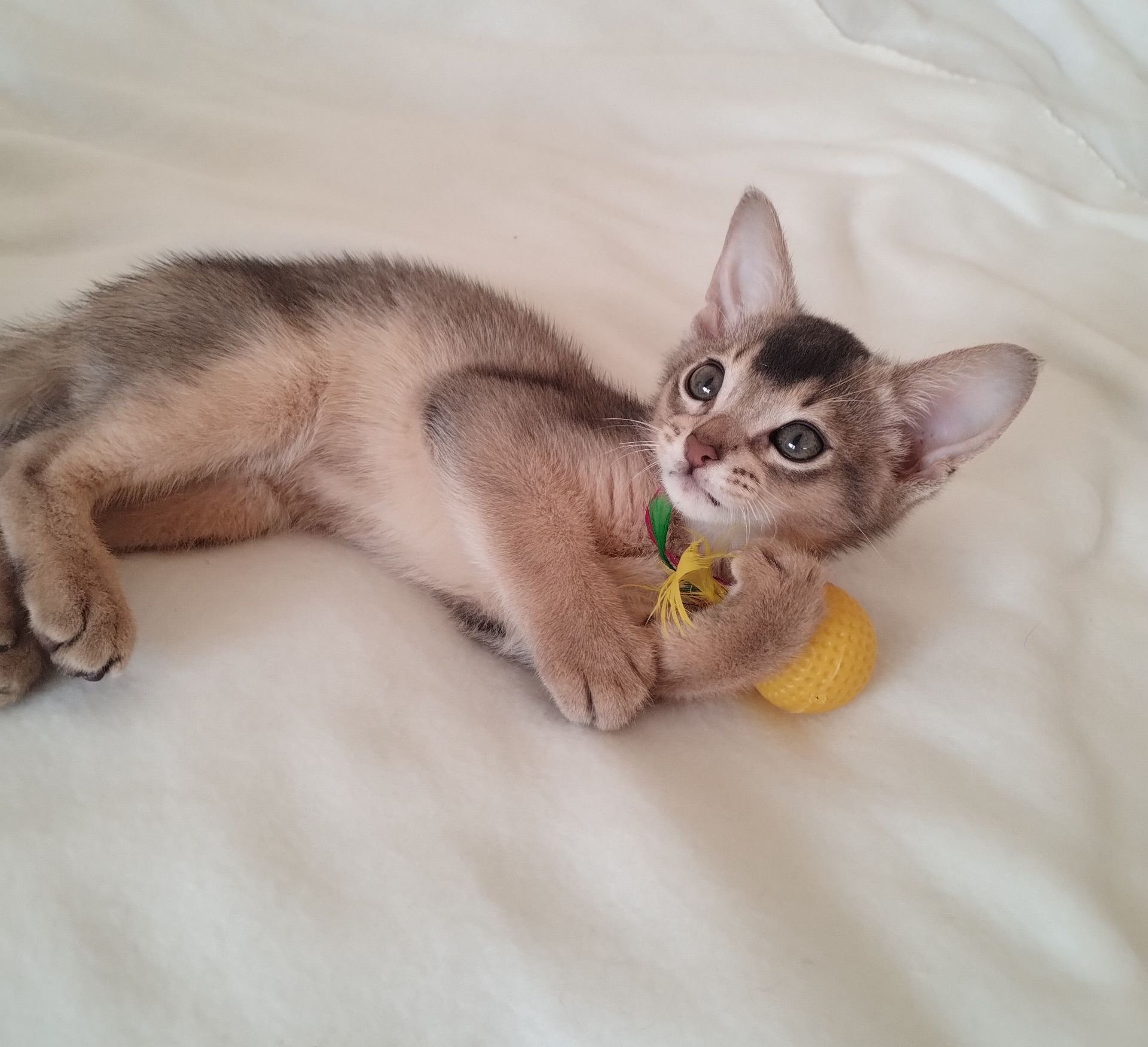 Блакитний хлопчик у пошуках родини