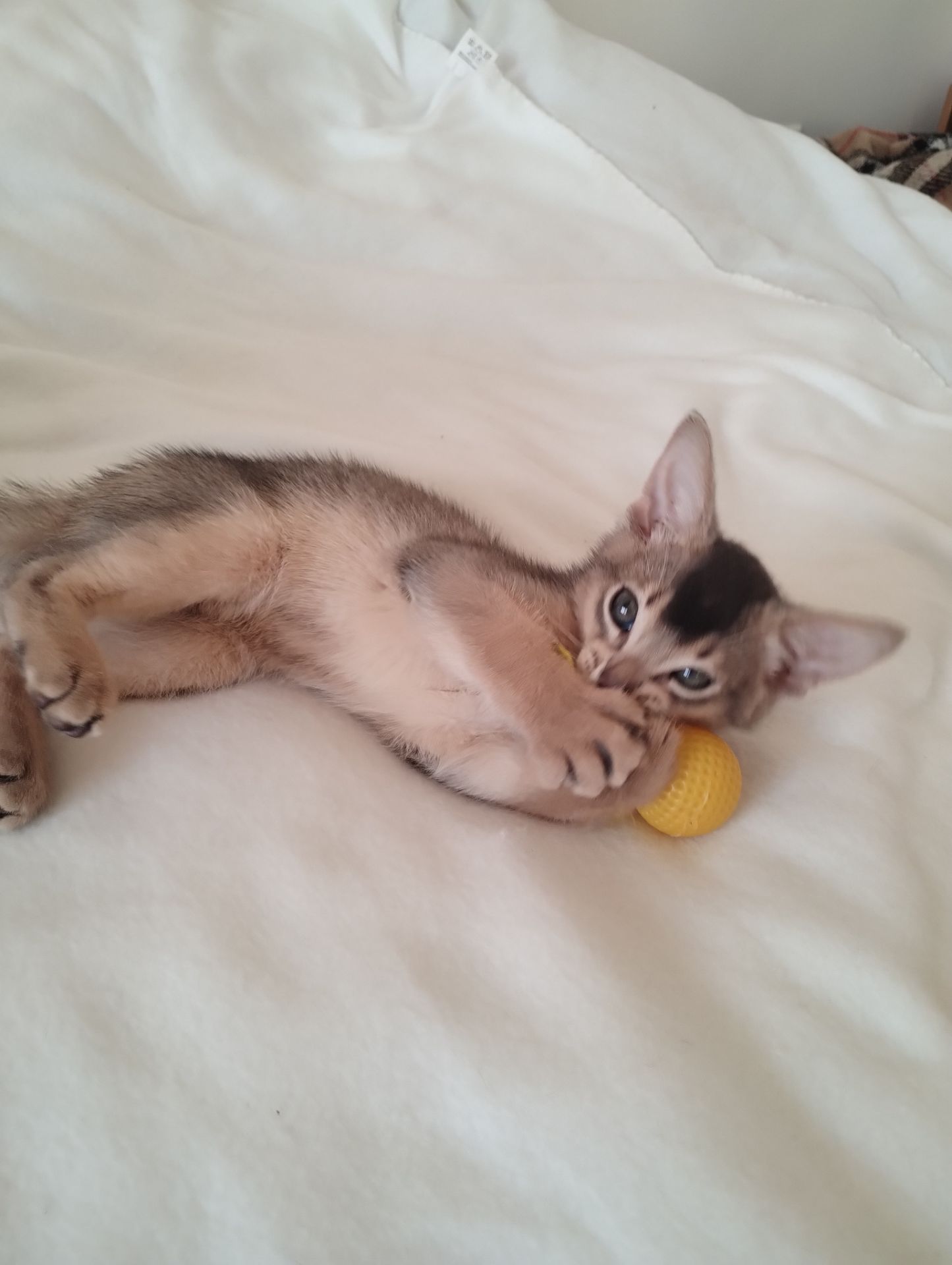 Блакитний хлопчик у пошуках родини