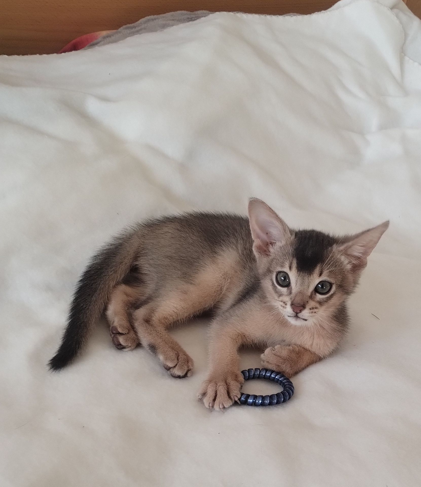 Блакитний хлопчик у пошуках родини