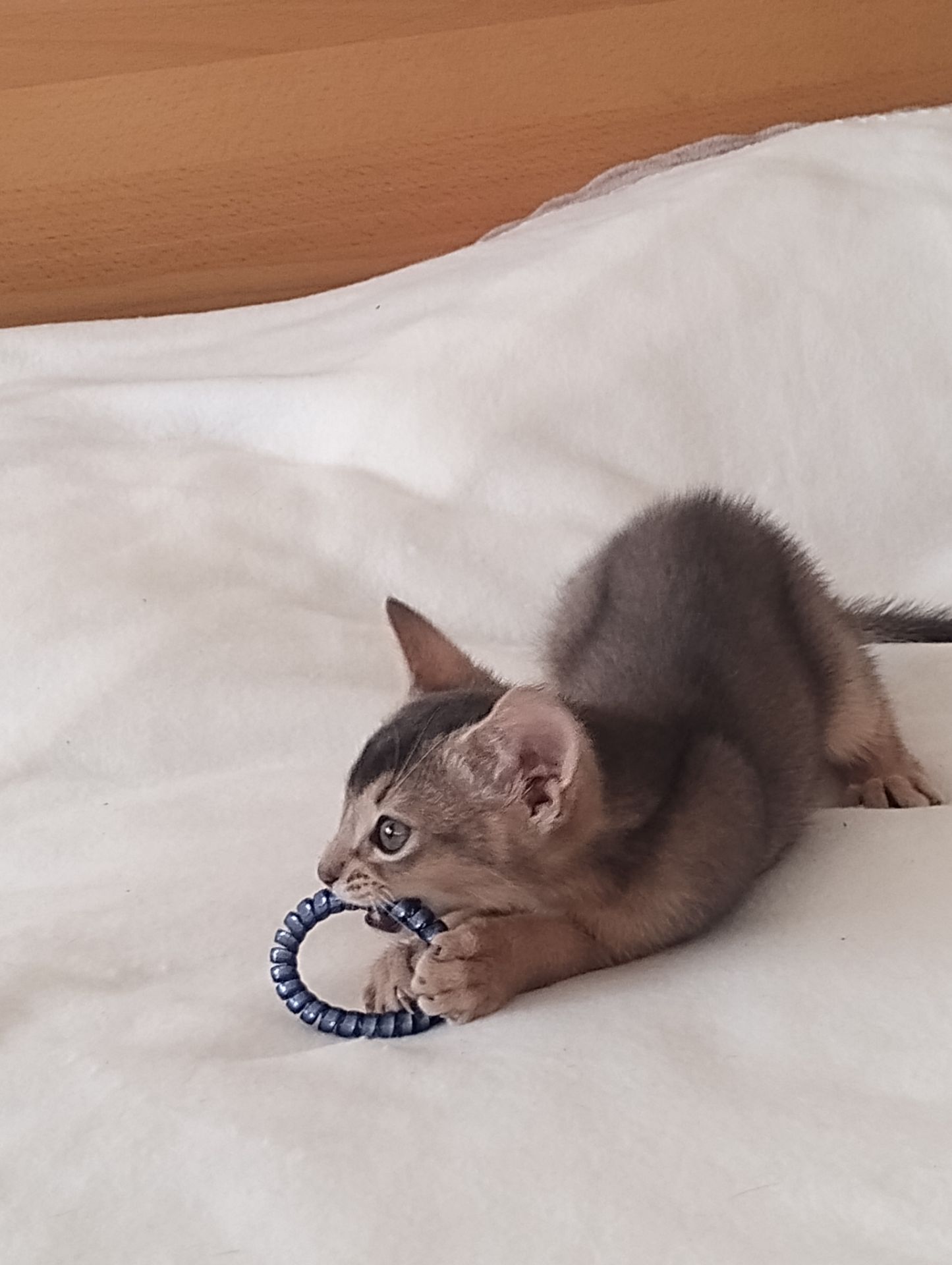 Блакитний хлопчик у пошуках родини