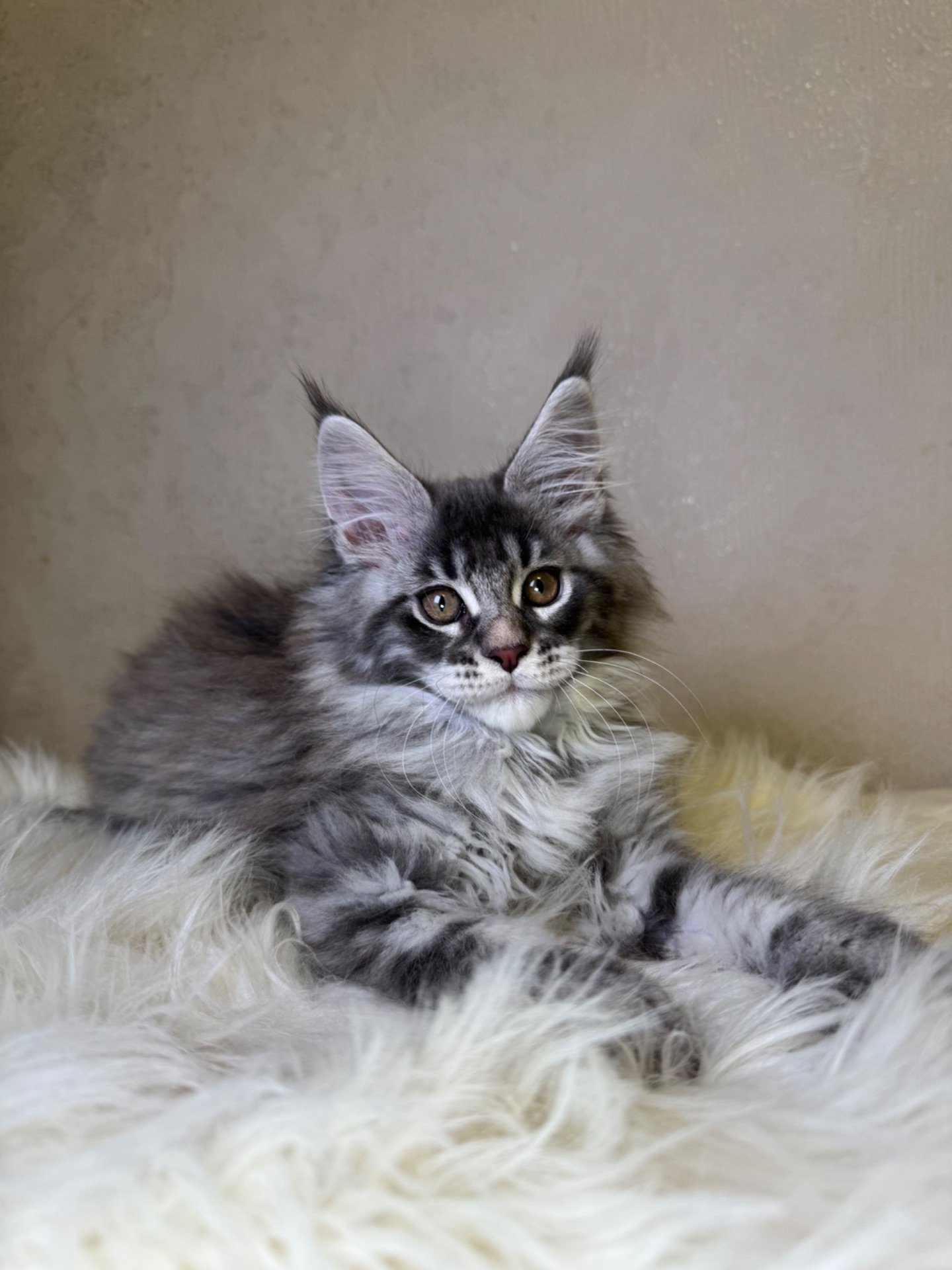 Хлопчик полідакт