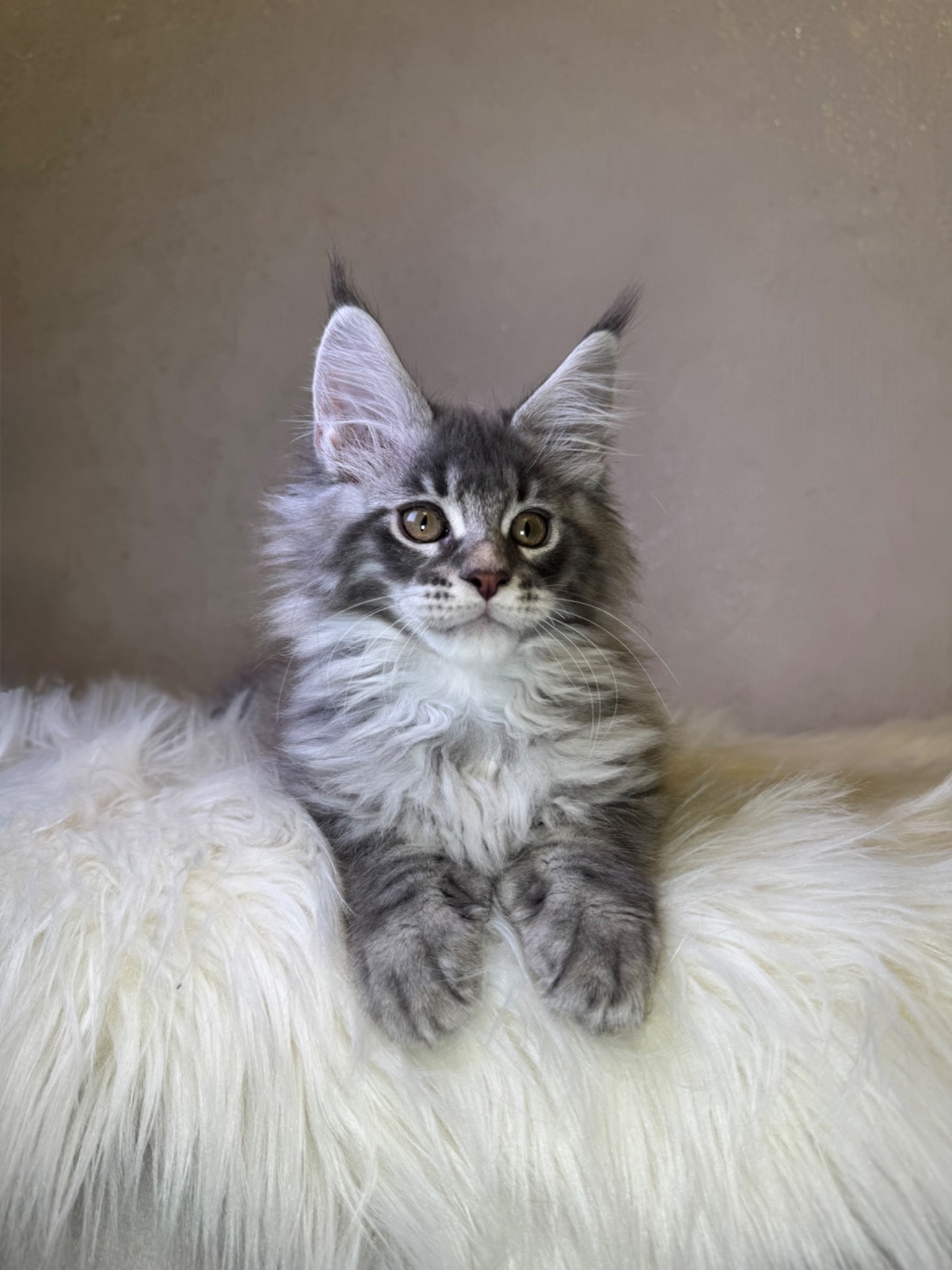 Хлопчик полідакт