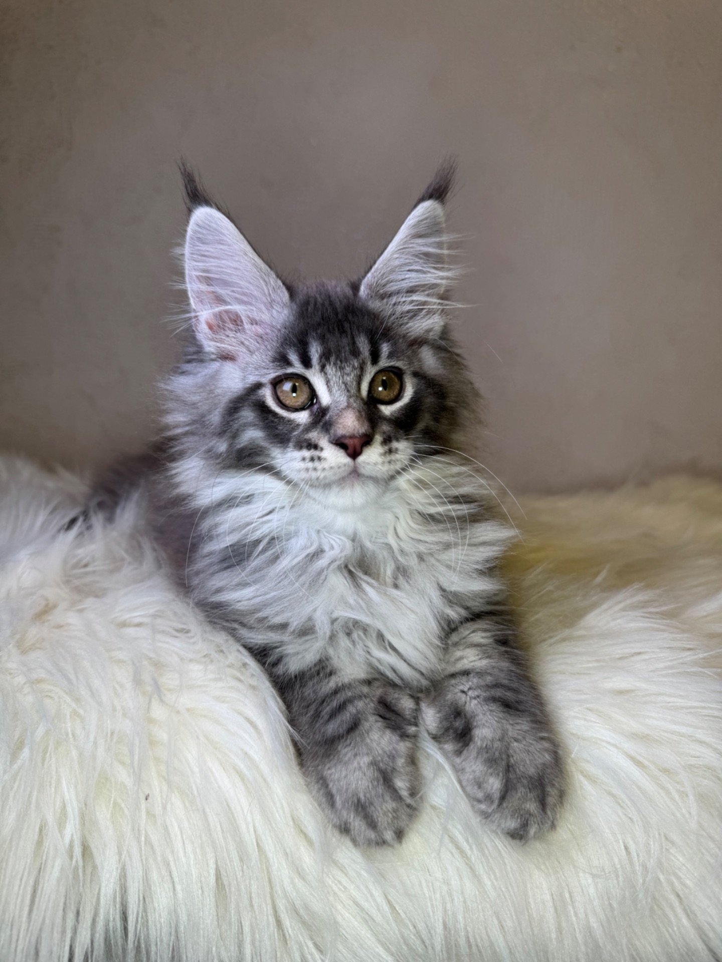 Хлопчик полідакт