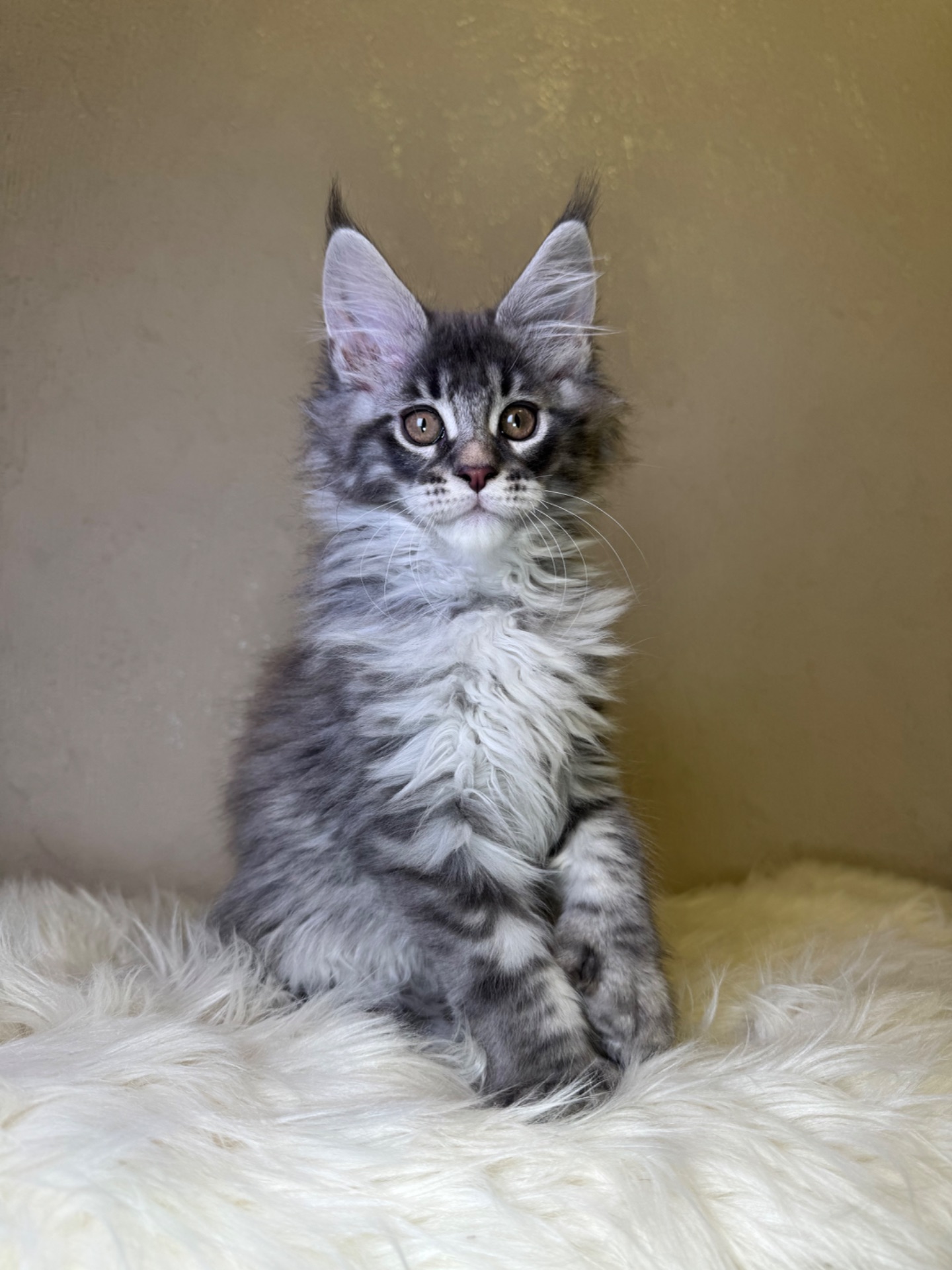 Хлопчик полідакт