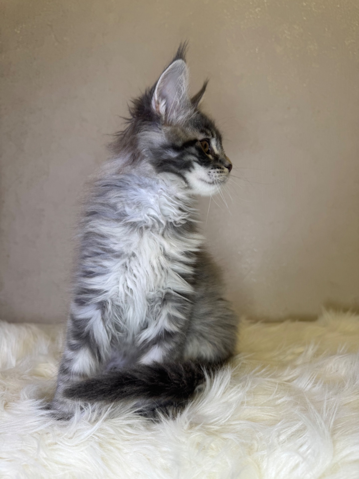 Хлопчик полідакт