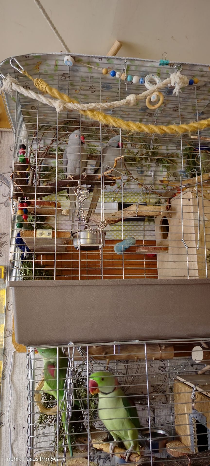 ПАРА Ожерелок