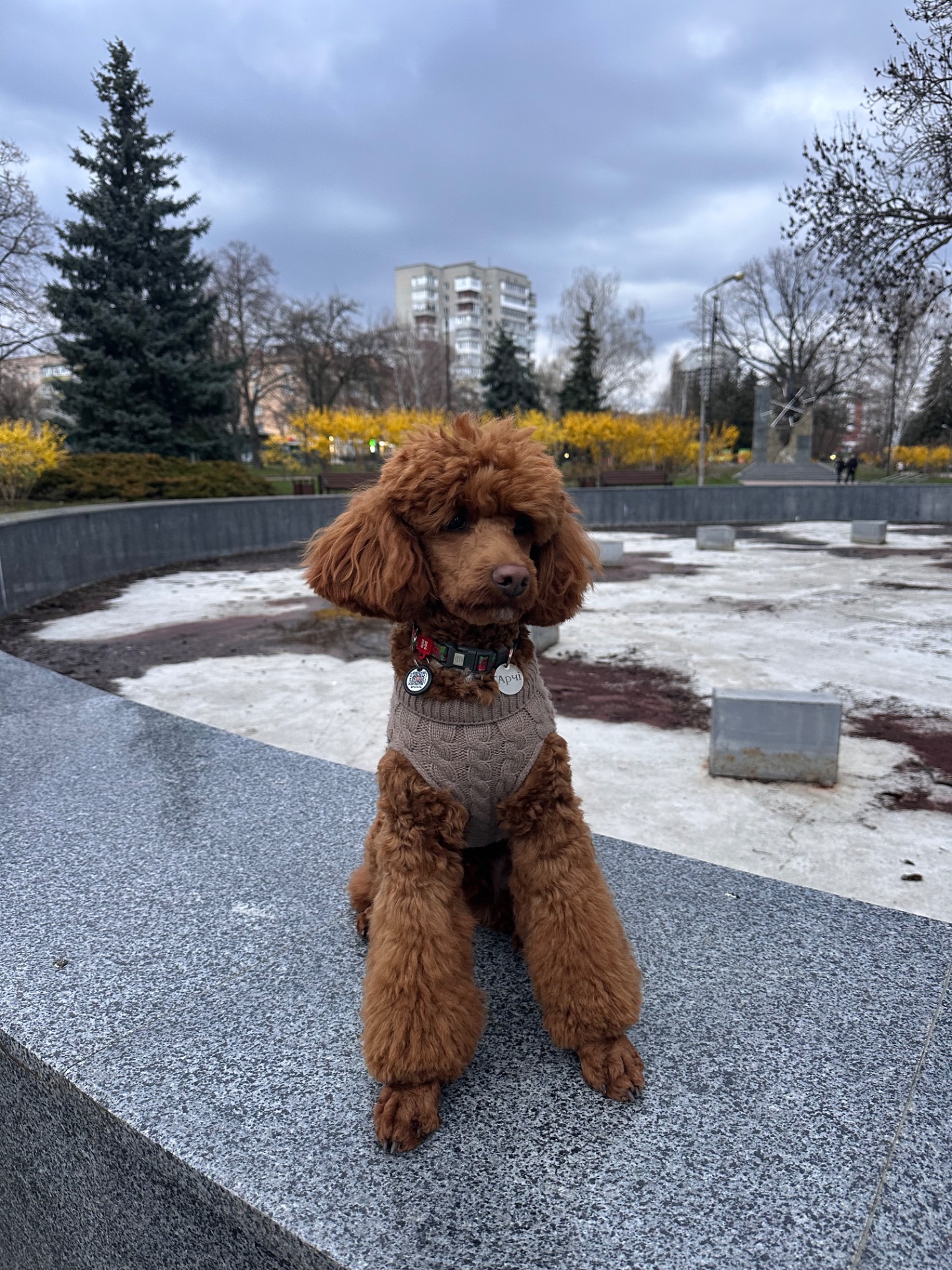 Шукаємо наречену