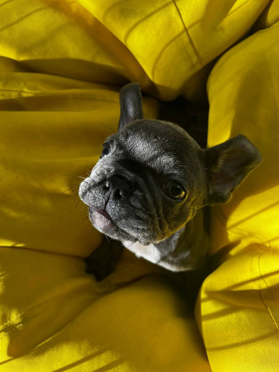 Маленькі хлопці з великим серцем