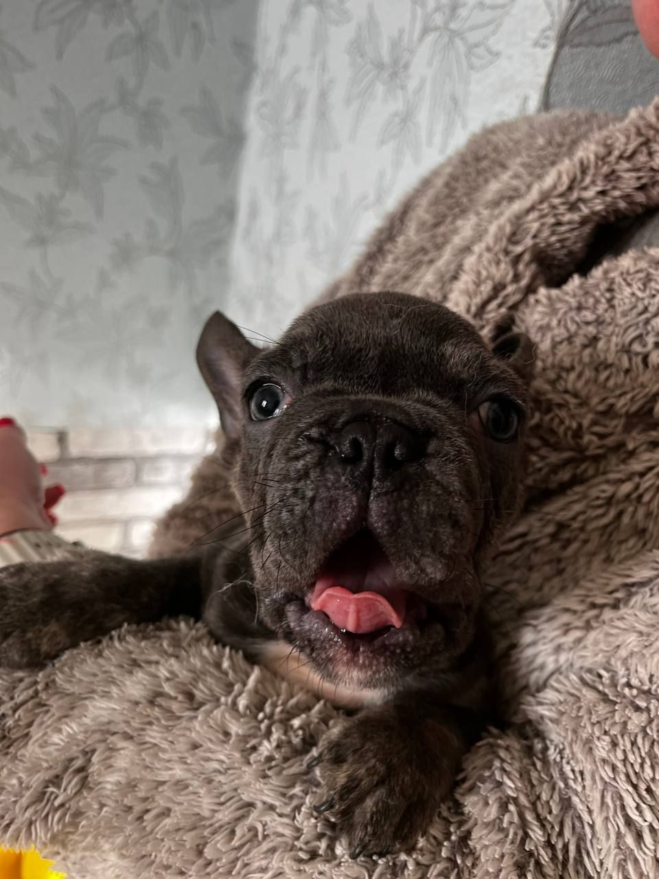 Маленькі хлопці з великим серцем