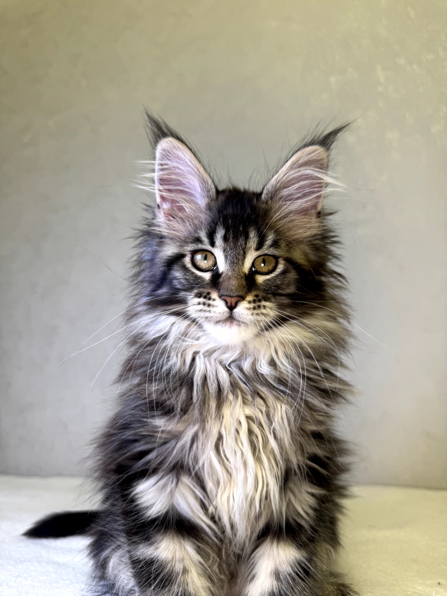 Дівчинка SYDNEY