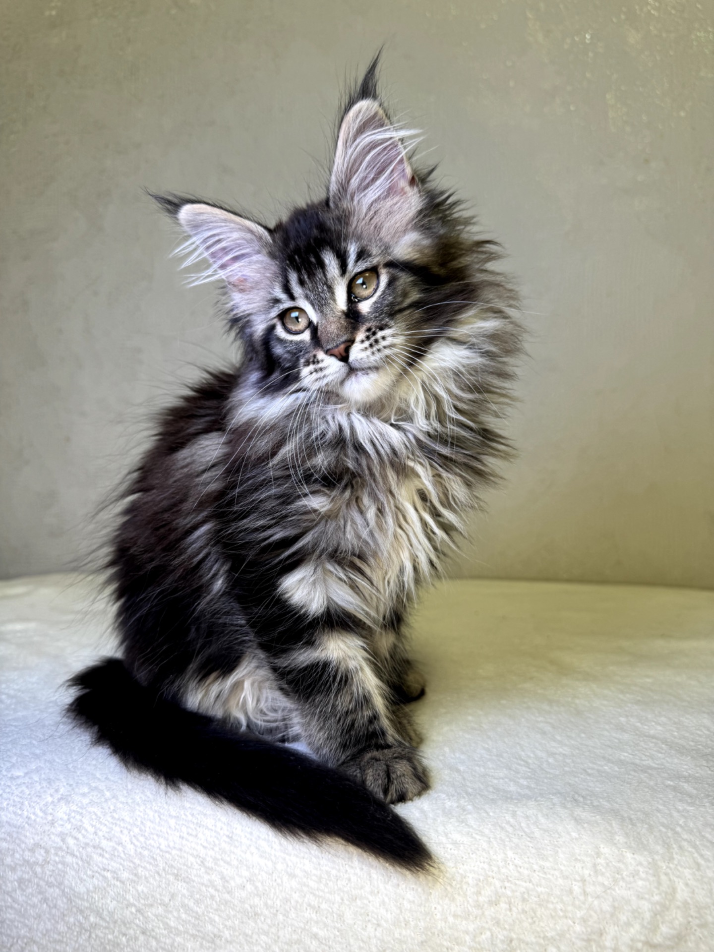 Дівчинка SYDNEY