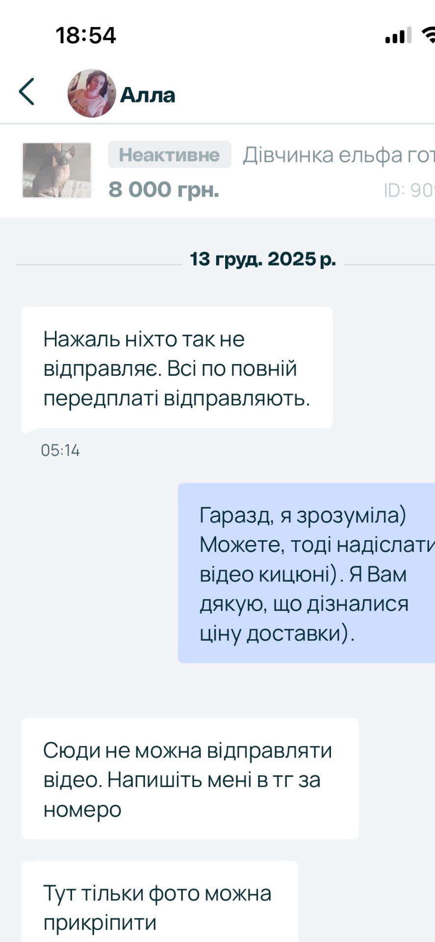 Канадська ельфа в люблячу родину)