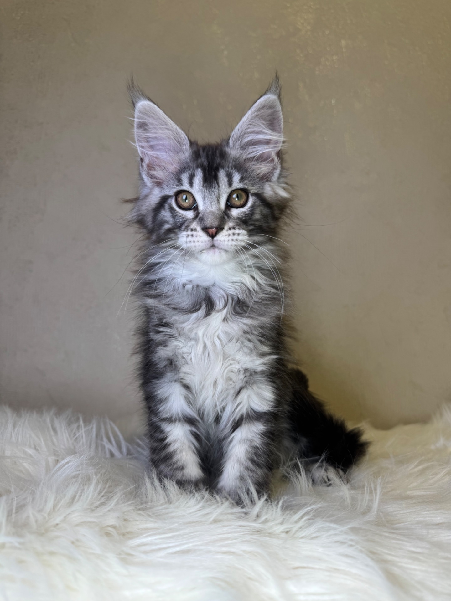 Мейн кун хлопчик