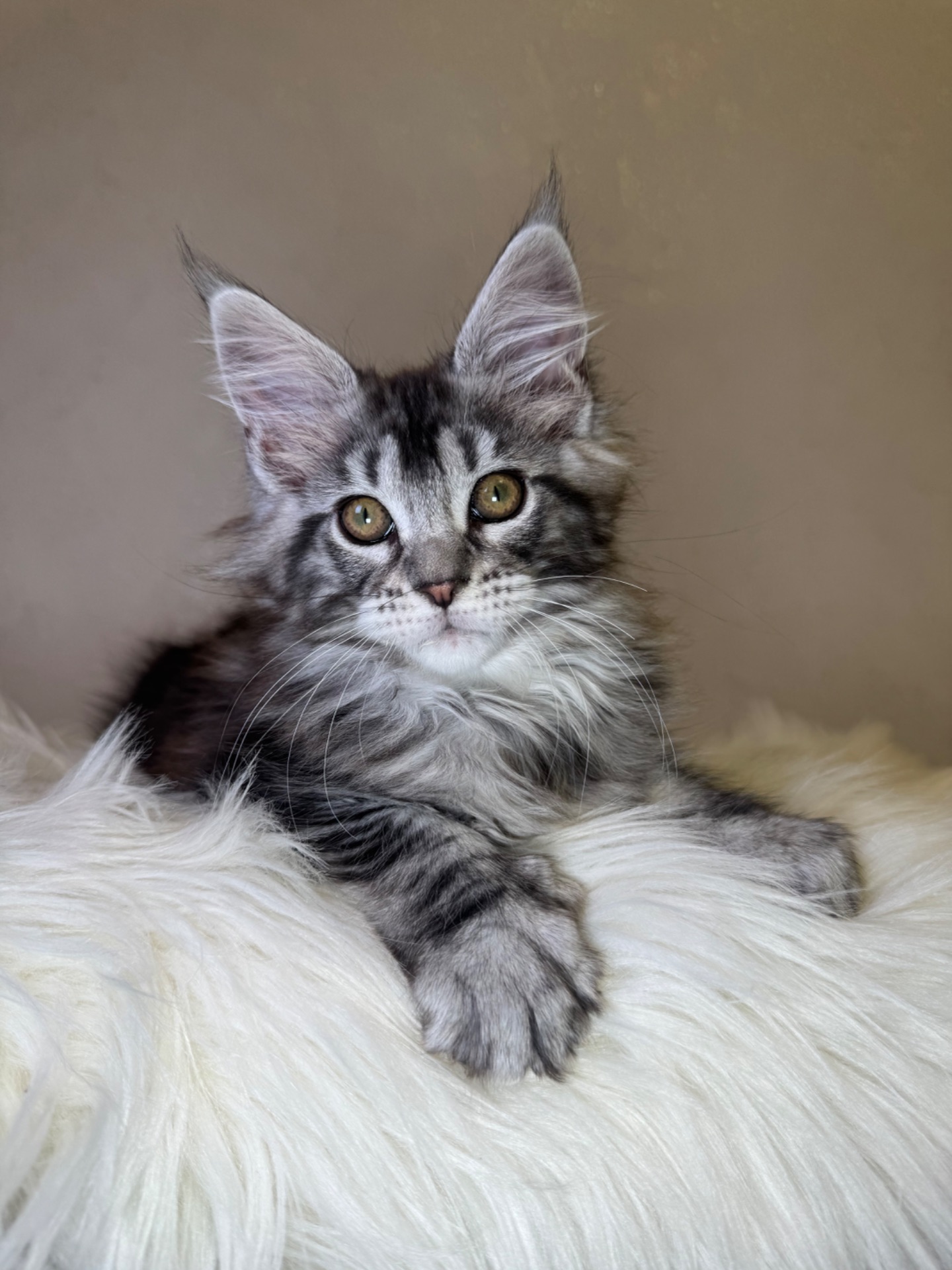 Мейн кун хлопчик