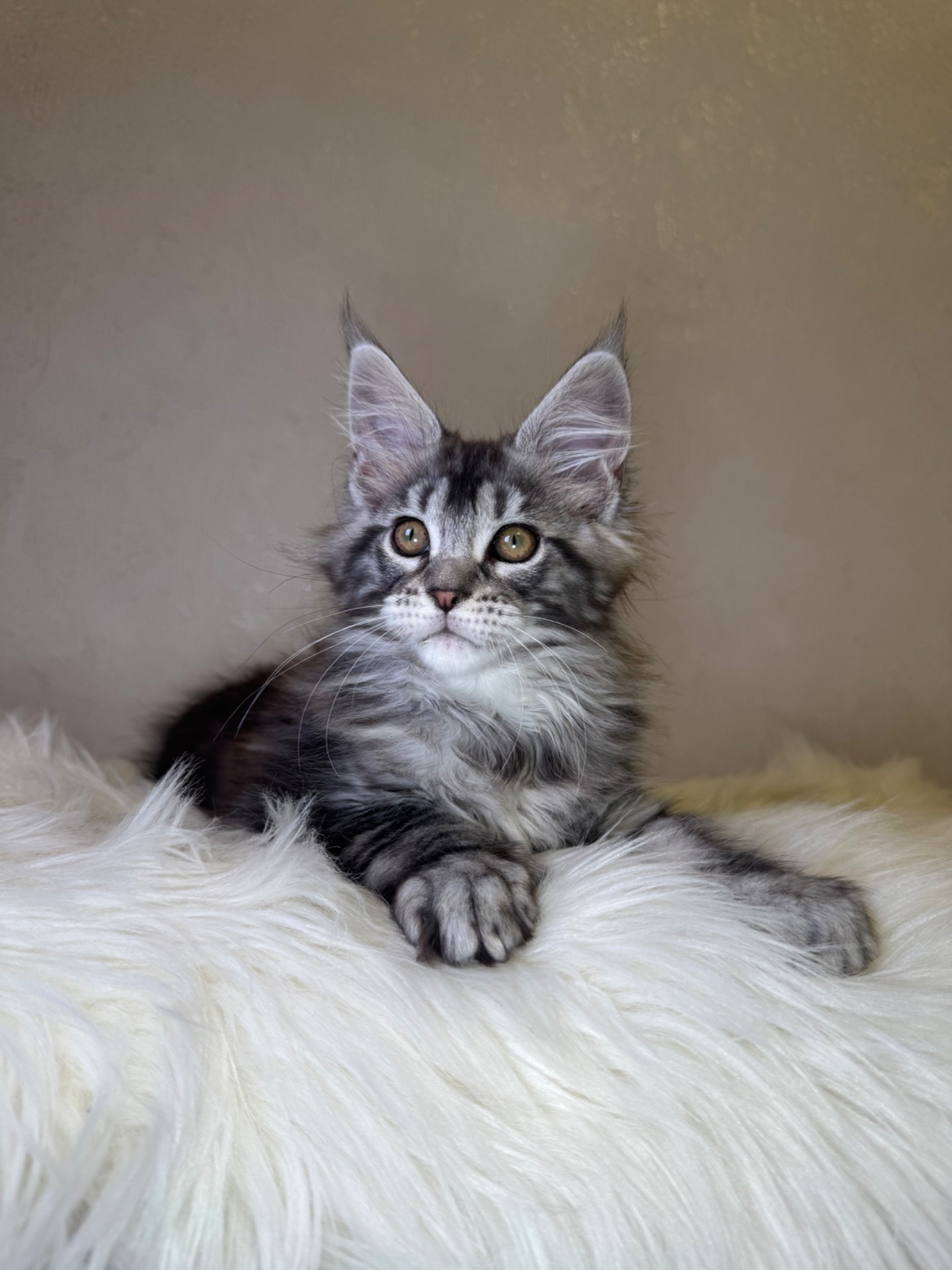 Мейн кун хлопчик