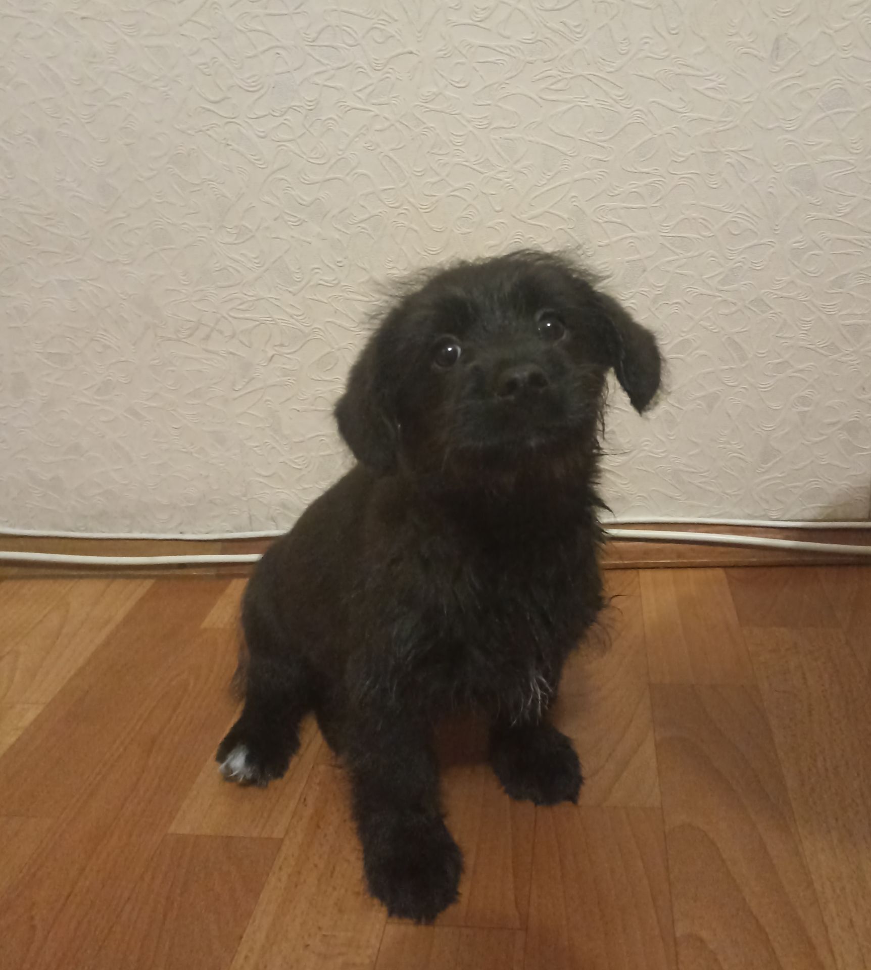 Дарк шукає люблячу сім'ю