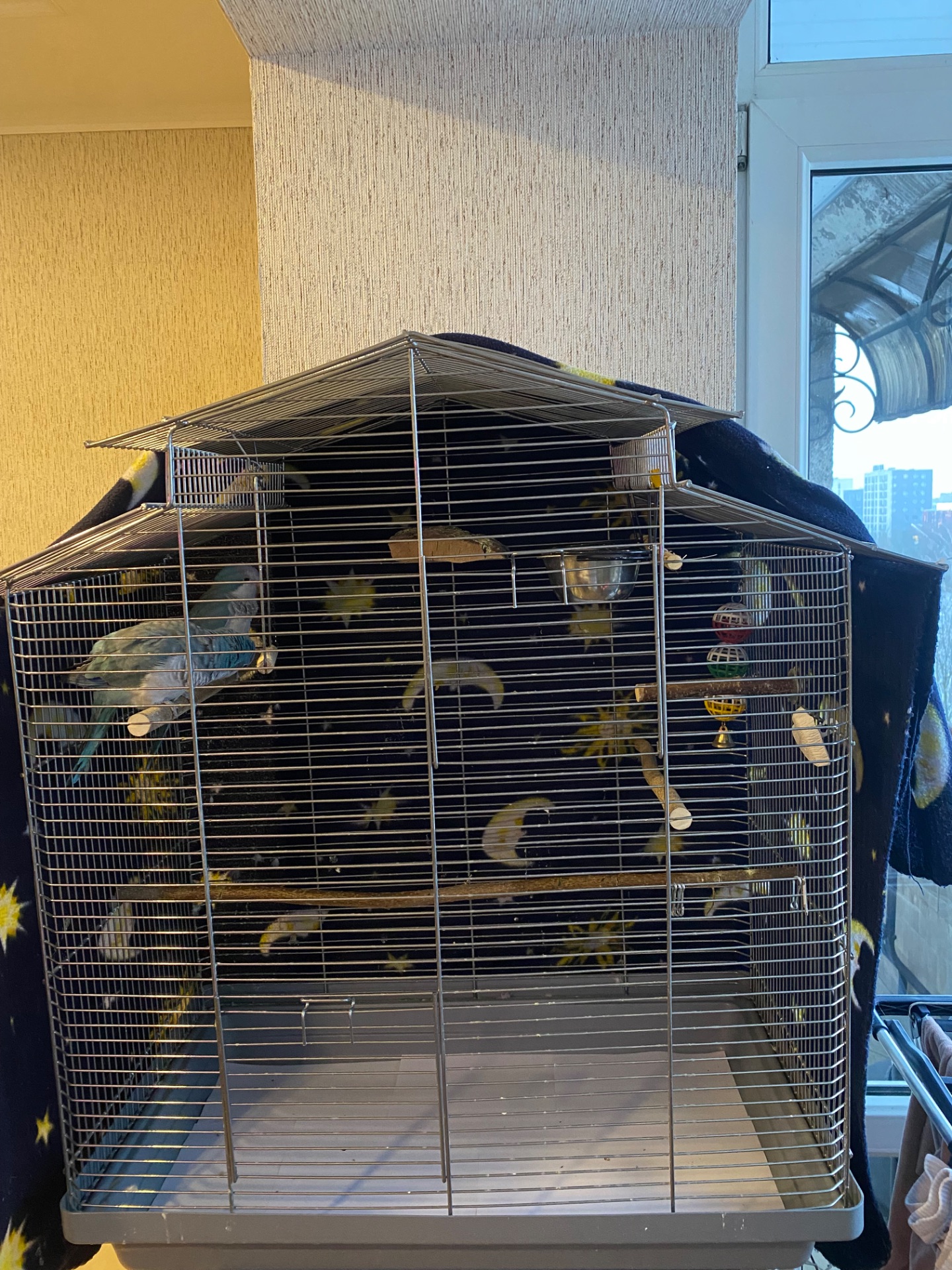 Продам пару монахів